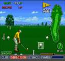 Skins Game (Nintendo Super System)