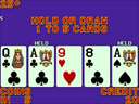 Player's Edge Plus (PP0452) Double Deuces Wild Poker (set 1)