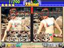 Shan Liang San He Yi (Flash 3-in-1) (V102 08/23/04 13:03:26)