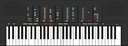 PSR-70 PortaSound