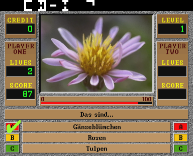 Quizard (v1.8, German, i8751 DE 11 D3) png snap