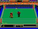 Robo Wres 2001