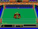 Robo Wres 2001 (bootleg)