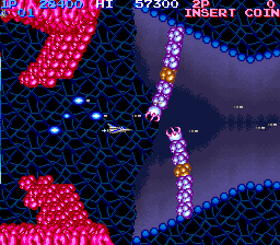 Salamander (Tecfri license) png snap