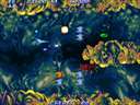 Salamander 2 (ver JAA)
