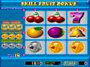 Skill Fruit Bonus (Version 1.9R, set 1)