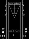 Shuffleboard