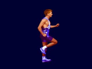Pro Stepper Tele Cardioline (Salter fitness stepper, older hardware, ver. 1.0, checksum 8BF3) png snap