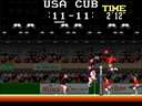 Super Volleyball (US, Data East license)