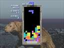 Tetris (set 1, Japan, System 16B) (FD1094 317-0091)