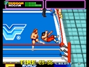 WWF Superstars (bootleg)