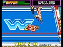 WWF Superstars (US revision 4)