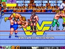 WWF WrestleFest (World)