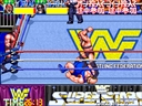 WWF WrestleFest (Japan)
