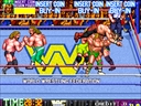 WWF WrestleFest (US)