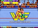 WWF WrestleFest (US bootleg)