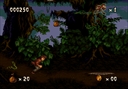 Pitfall - The Mayan Adventure (USA)