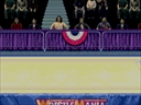 WWF WrestleMania - The Arcade Game (USA)