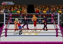 WWF Raw (World)