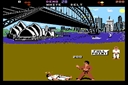 World Karate Championship (cracked)