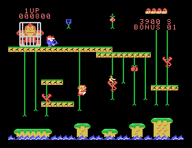 adam_cass/dkongjr png snap