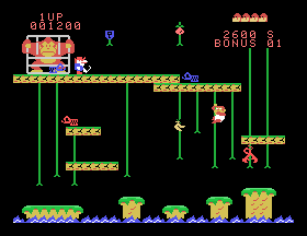 adam_cass/dkongjrp14 png snap