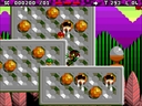 amigaaga_flop/zool2_acc jpg snap thumbnail