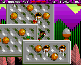 amigaaga_flop/zool2_acc png snap