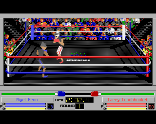 amigaocs_flop/4dboxing png snap