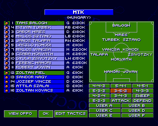 amigaocs_flop/swosa png snap