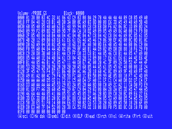 apple2gs_flop_misc/probegs png snap