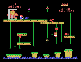 coleco/suprdkjr png snap