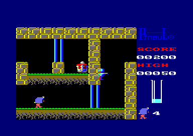 cpc_flop/pinaut19 png snap