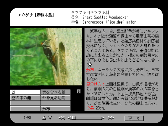 fmtowns_cd/nihonya png snap