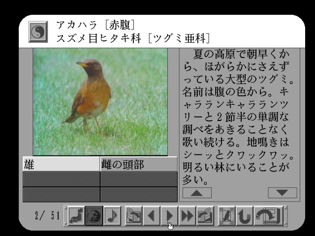 fmtowns_cd/nihonyam png snap