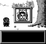 gamate/1milwhys png snap