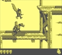 gameboy/dkland3a jpg snap thumbnail