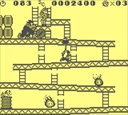 gameboy/dkonga jpg snap thumbnail
