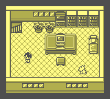 gameboy/medakuwaa png snap