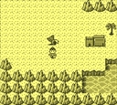 gameboy/ninjboy2 jpg snap thumbnail