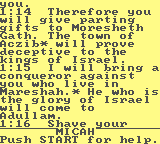 gameboy/nivbible png snap