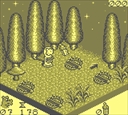 gameboy/ottifantp jpg snap thumbnail