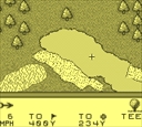 gameboy/pga96 jpg snap thumbnail
