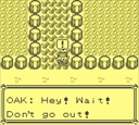 gameboy/pokered jpg snap thumbnail