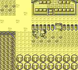 gameboy/pokeredf png snap
