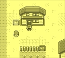 gameboy/pokeyellf jpg snap thumbnail