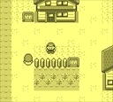 gameboy/pokeyelli jpg snap thumbnail