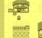 gameboy/pokeyells png snap