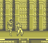 gameboy/raginfgt png snap