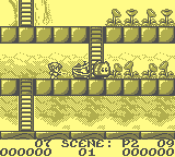 gameboy/rodlandj png snap